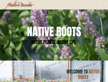 Tablet Screenshot of native-roots.net